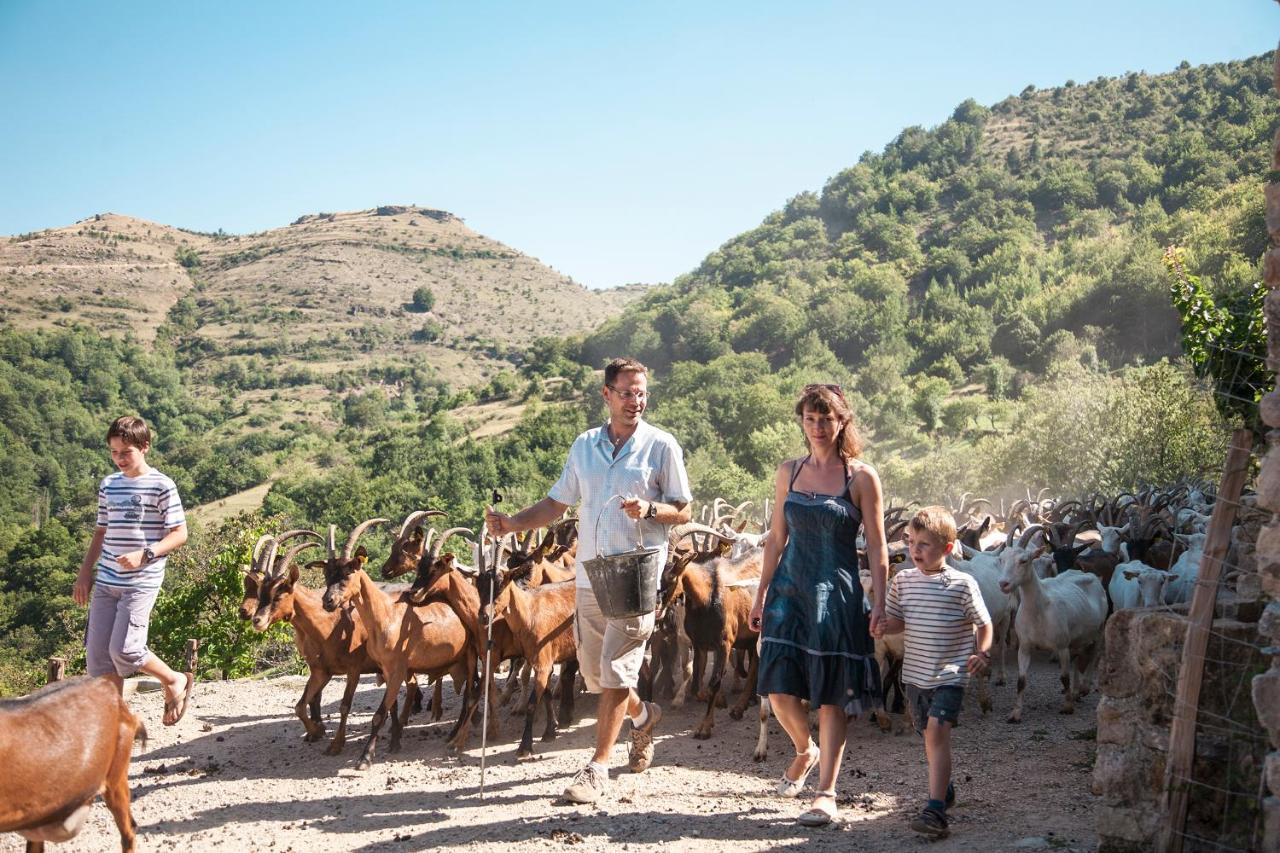 Отель La Ferme Des Cevennes Florac Экстерьер фото