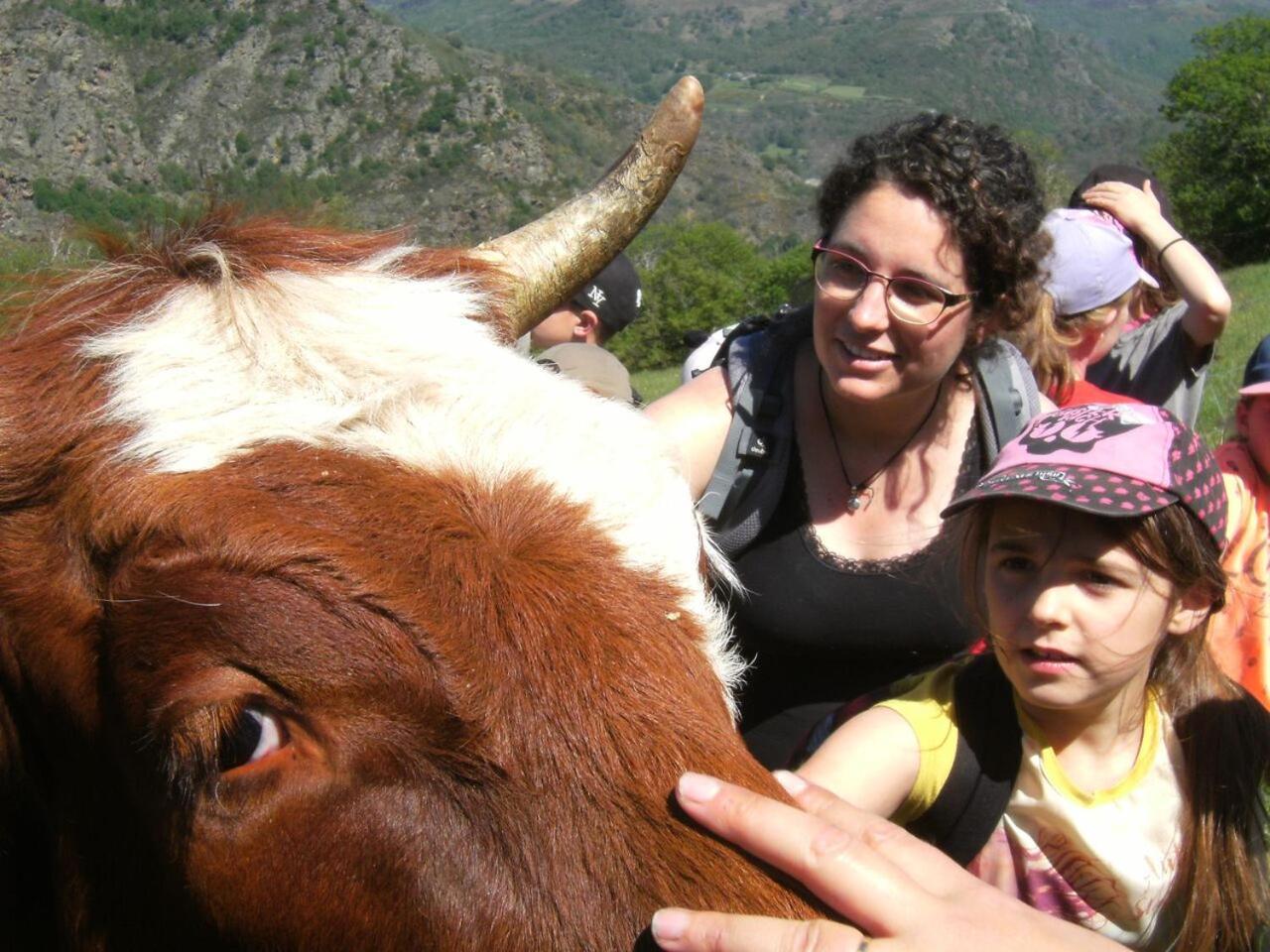 Отель La Ferme Des Cevennes Florac Экстерьер фото