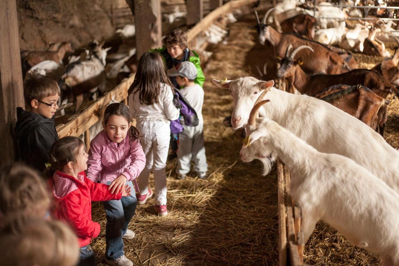 Отель La Ferme Des Cevennes Florac Экстерьер фото