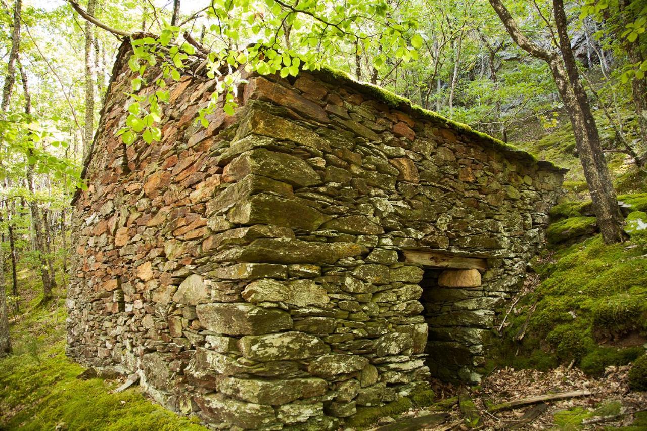 Отель La Ferme Des Cevennes Florac Экстерьер фото